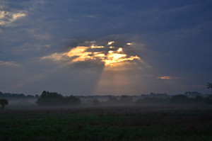 Fot. Elżbieta Mazoń