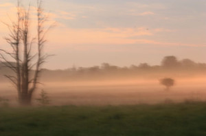 Fot. Urszula Baryłko